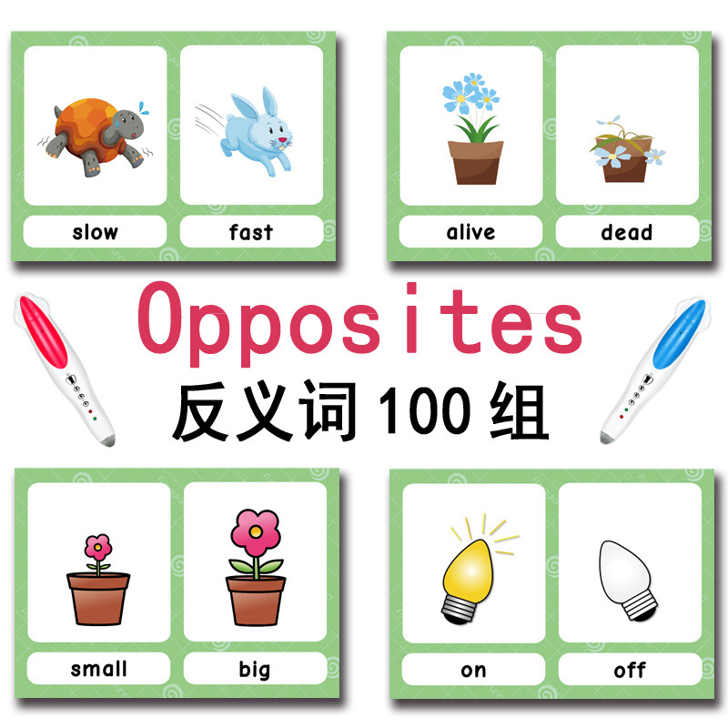 100 Cartões de Vocabulário em  - Kids Toys Learning avaliação e preço